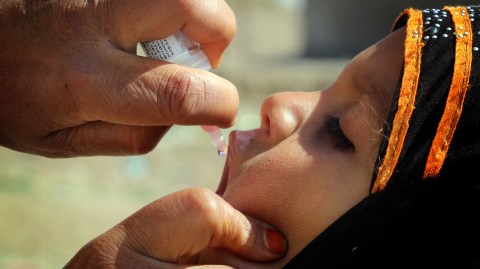 South Africa bids to regain WHO polio-free certification
