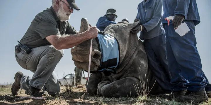 Quo vadis South Africa’s rhino rancher supreme?
