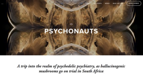 Podcast: The Psychonauts – psychedelic psychiatry, and magic mushroom on trial in South Africa in 2018