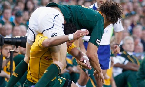 Springboks vs. Wallabies preview: The pressure is on