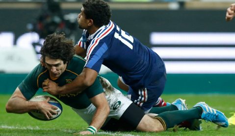Rugby: Mon Dieu, Springboks, well played!