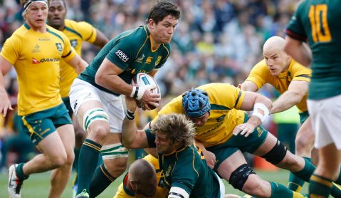 Rugby: A wallop for the Wallabies