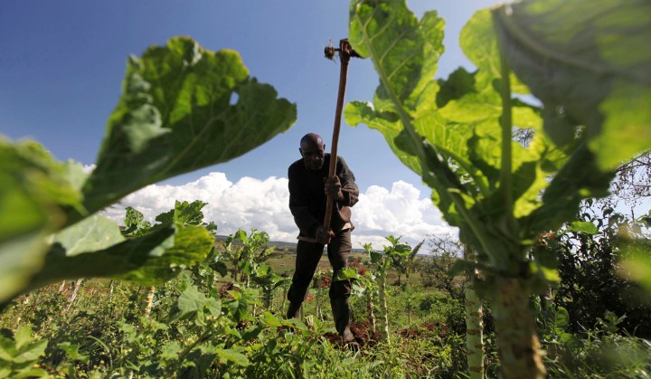 Kenya first to earn carbon credits from sustainable farming