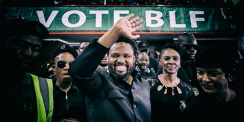 Both FF+ and BLF claim victory in electoral court scuffle