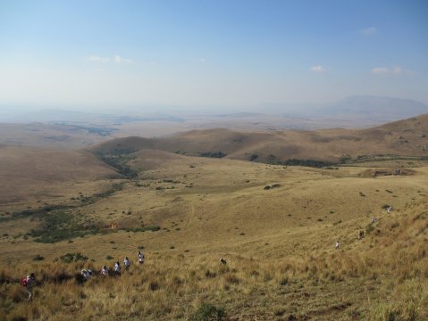Mpumalanga government paves way for mining in protected grasslands