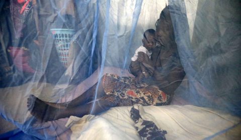 New single-dose drug could help wipe out malaria