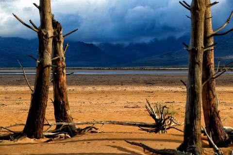 The heavens have opened, but Western Cape agriculture still needs more rain