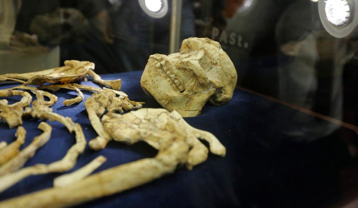 Meet Little Foot: World’s oldest forerunner of modern humans unveiled and on display