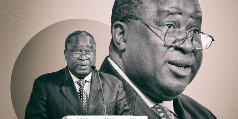 SA debt levels to surge, but Tito Mboweni vows to ‘close the mouth of the hippopotamus’