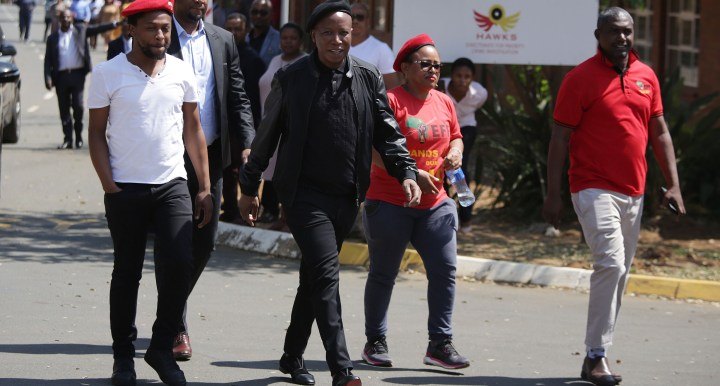 It wasn’t me, says Malema… it was my brothers
