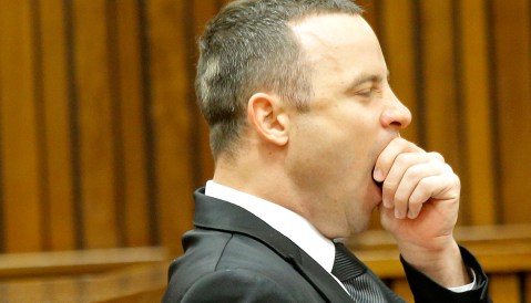 Pistorius Trial: Week 8, Day 2