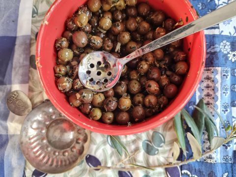 Olives and the art of l’apéro