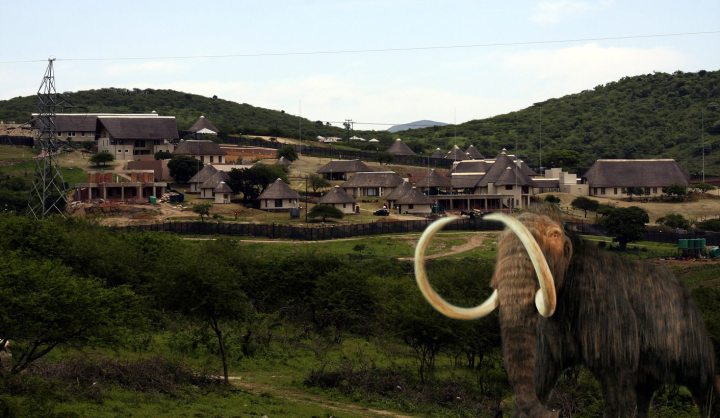 Nkandla: The neon mammoth in the ANC’s election war room