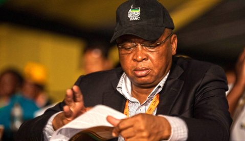 Zuma checkmates his last opponent; new game coming soon