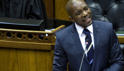 Parliament: DA motion to hold early elections falls flat