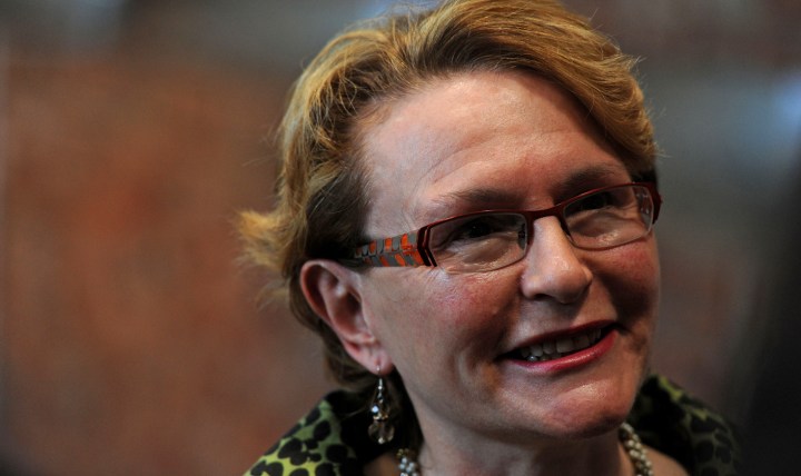 Analysis: Zille continues to bat for Motshekga against education activists