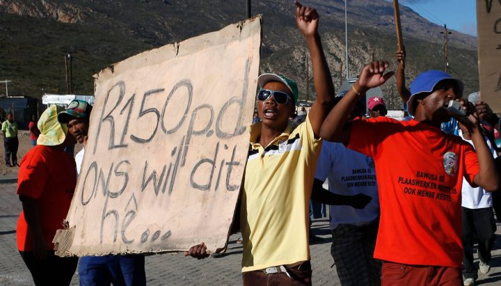 R105 a day: Farmworkers, farmers and an uneasy compromise