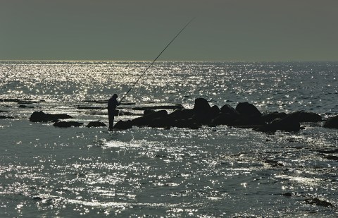 On the KZN south coast, a dearth of fish