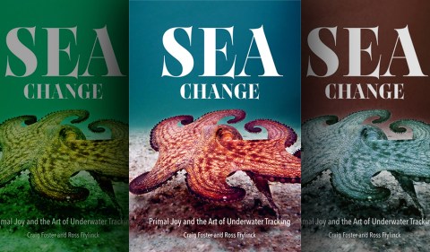 Sea Change: Primal Joy and the Art of Underwater Tracking