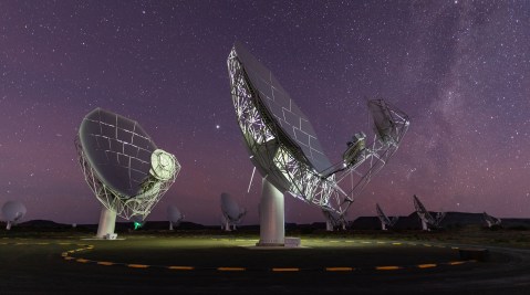 South Africa’s MeerKAT finds radio galaxies that dwarf our Milky Way