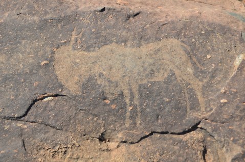 Rock art rocks: Experts are still trying to fathom ancient engravings found near the Vredefort crater