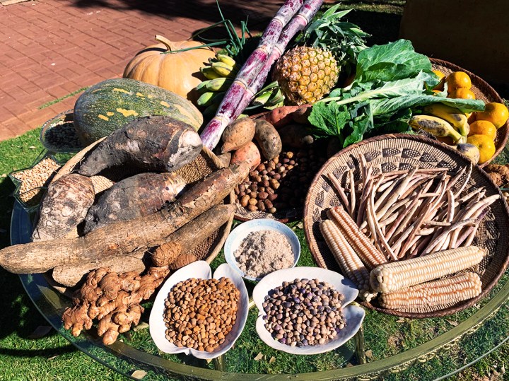 Bambara and food crops of continental memory