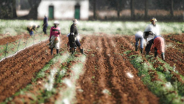 Op-Ed: ‘Is government going to consult us on expropriation?’ – farm dwellers