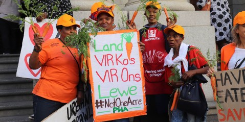 Campaigners unmoved as province claims it wants to preserve Cape Town’s Philippi Horticultural Area