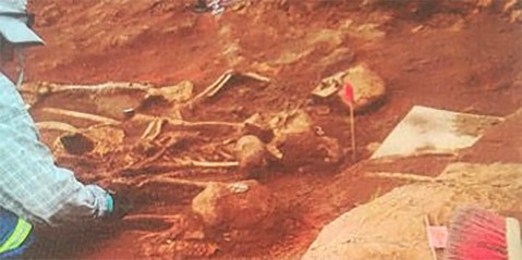 Let the bones speak – historical mass grave at Simon’s Town is shrouded in secrecy