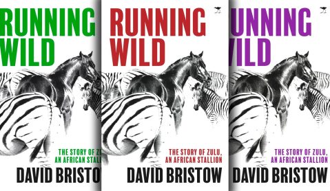 Wild Horse Chase: How to get your novel published after 174 rejection slips