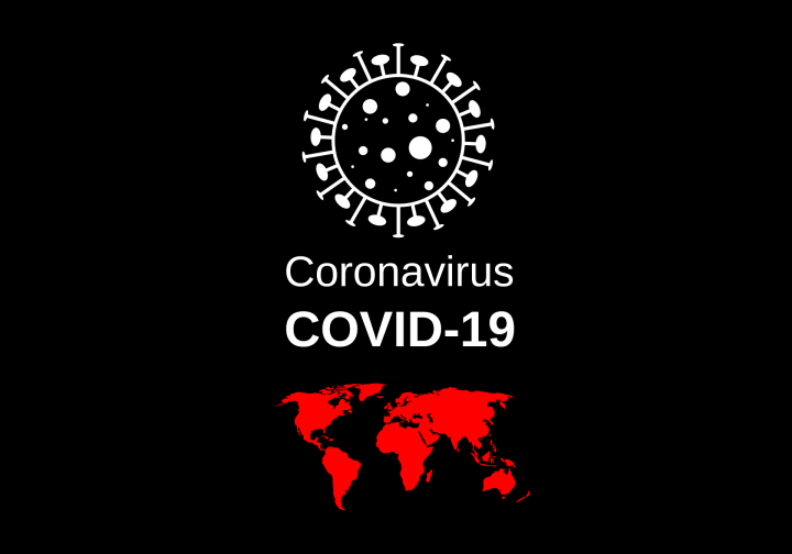 Coronavirus: The answers lie in the numbers