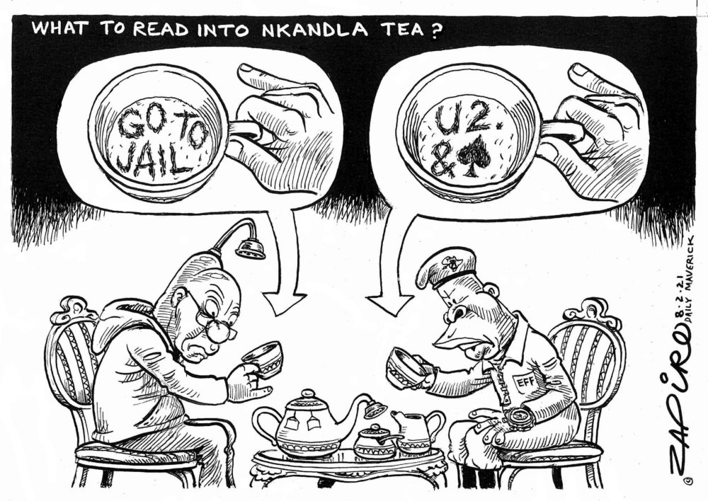 zapiro-nkandla-tea-1000x708.jpg